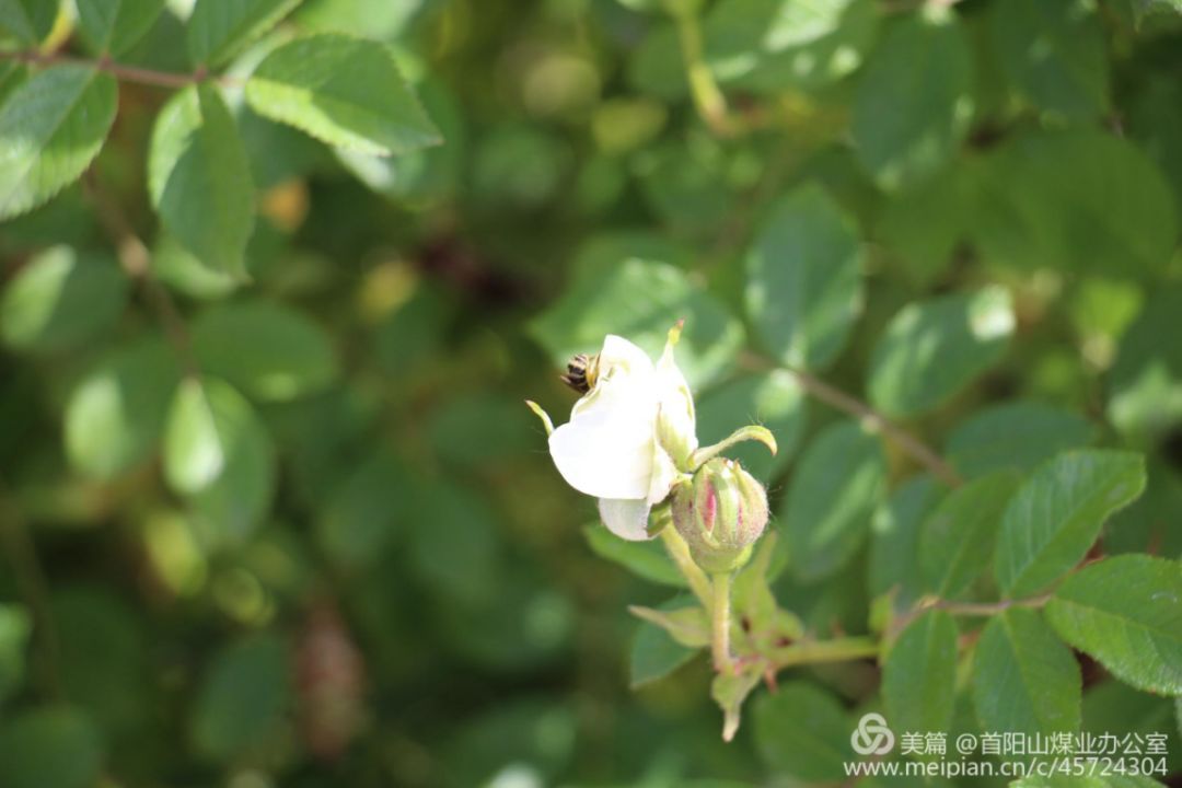凯时KB88·(中国集团)官方网站