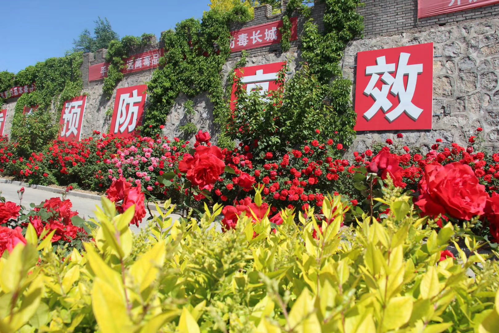 凯时KB88·(中国集团)官方网站