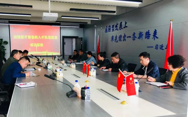 【凯时KB88党建】凯时KB88煤炭组织人才行列建设大会商活动